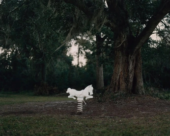 A cover of "Idyllic" cluster. The owner is iamliv. The cluster consists of 22 elements.