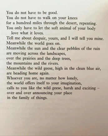 A cover of "Words" cluster. The owner is ericlh. The cluster consists of 7 elements.