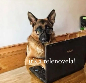 A cover of "animals" cluster. The owner is heartsforsza. The cluster consists of 51 elements.