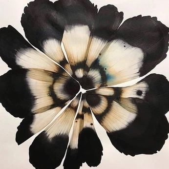 A cover of "fallen dreams" cluster. The owner is bolotin. The cluster consists of 15 elements.