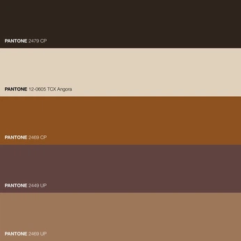 A cover of "Post ideas" cluster. The owner is momo1. The cluster consists of 1 element.