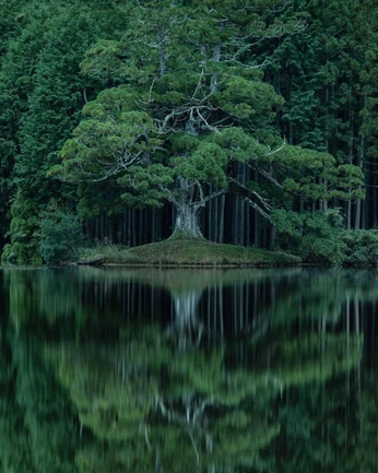 A cover of "The world is beautiful" cluster. The owner is jbelmont. The cluster consists of 3 elements.