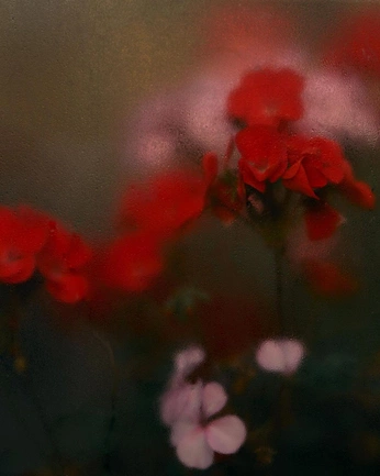 A cover of "designs" cluster. The owner is hannah.alex4nder. The cluster consists of 3 elements.