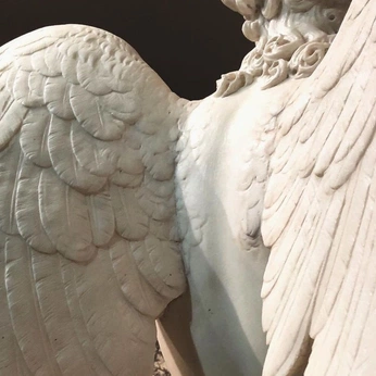 A cover of "delicate" cluster. The owner is zoealaniz. The cluster description is "sometimes i wonder when you sleep, are you ever dreaming of me?". The cluster consists of 15 elements.