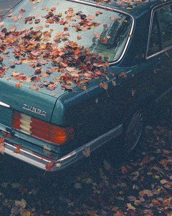 A cover of "fall, autumn vibes" cluster. The owner is amelia547. The cluster consists of 36 elements.