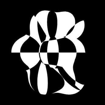 A cover of "Warped" cluster. The owner is jackie13jk. The cluster consists of 12 elements.