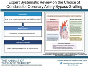 A cover of "Cosmic Vision" cluster. The owner is martinez. The cluster consists of 1 element.