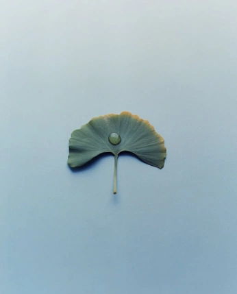 A cover of "NATURAL ELEMENTS" cluster. The owner is bgracecx. The cluster consists of 1 element.