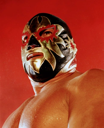 A cover of "Lucha Libre" cluster. The owner is lamec.rosas. The cluster consists of 4 elements.
