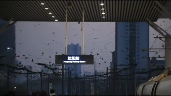 A cover of "world of beauty" cluster. The owner is salemm. The cluster consists of 22 elements.