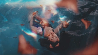 A cover of "Lary" cluster. The owner is reahein. The cluster consists of 13 elements.