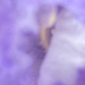 A cover of "Lavender" cluster. The owner is labcreative. The cluster description is "Idealistic, Imaginative, Romantic". The cluster consists of 29 elements.