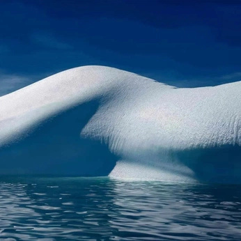 A cover of "nature" cluster. The owner is leewoo. The cluster consists of 11 elements.