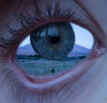 A cover of "Field of VZN" cluster. The owner is conwaymichael. The cluster consists of 30 elements.