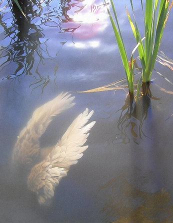 A cover of "Art Direction/Irreverant" cluster. The owner is callen. The cluster consists of 2 elements.