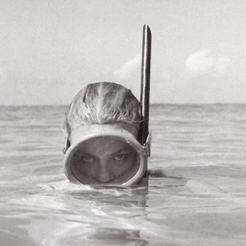 A cover of "photo" cluster. The owner is connorfitzgerald. The cluster consists of 48 elements.