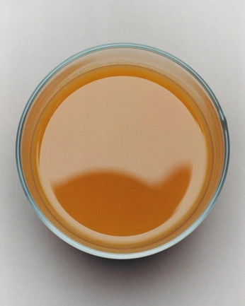 A cover of "Food bank" cluster. The owner is gorejazz. The cluster consists of 1 element.