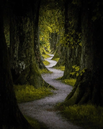 A cover of "topography" cluster. The owner is mat19. The cluster consists of 16 elements.