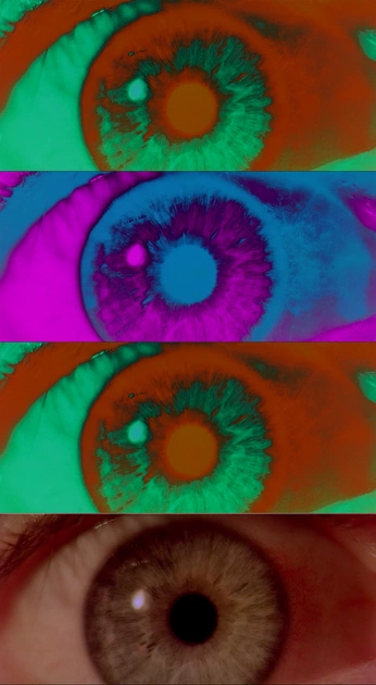 A cover of "maturita!!!" cluster. The owner is arlx0. The cluster consists of 79 elements.