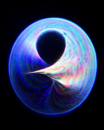 A cover of "NEISH STUDIO" cluster. The owner is michaellin178. The cluster consists of 59 elements.