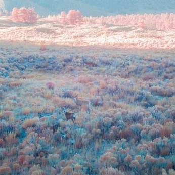 A cover of "Landscape" cluster. The owner is mysterese. The cluster consists of 7 elements.