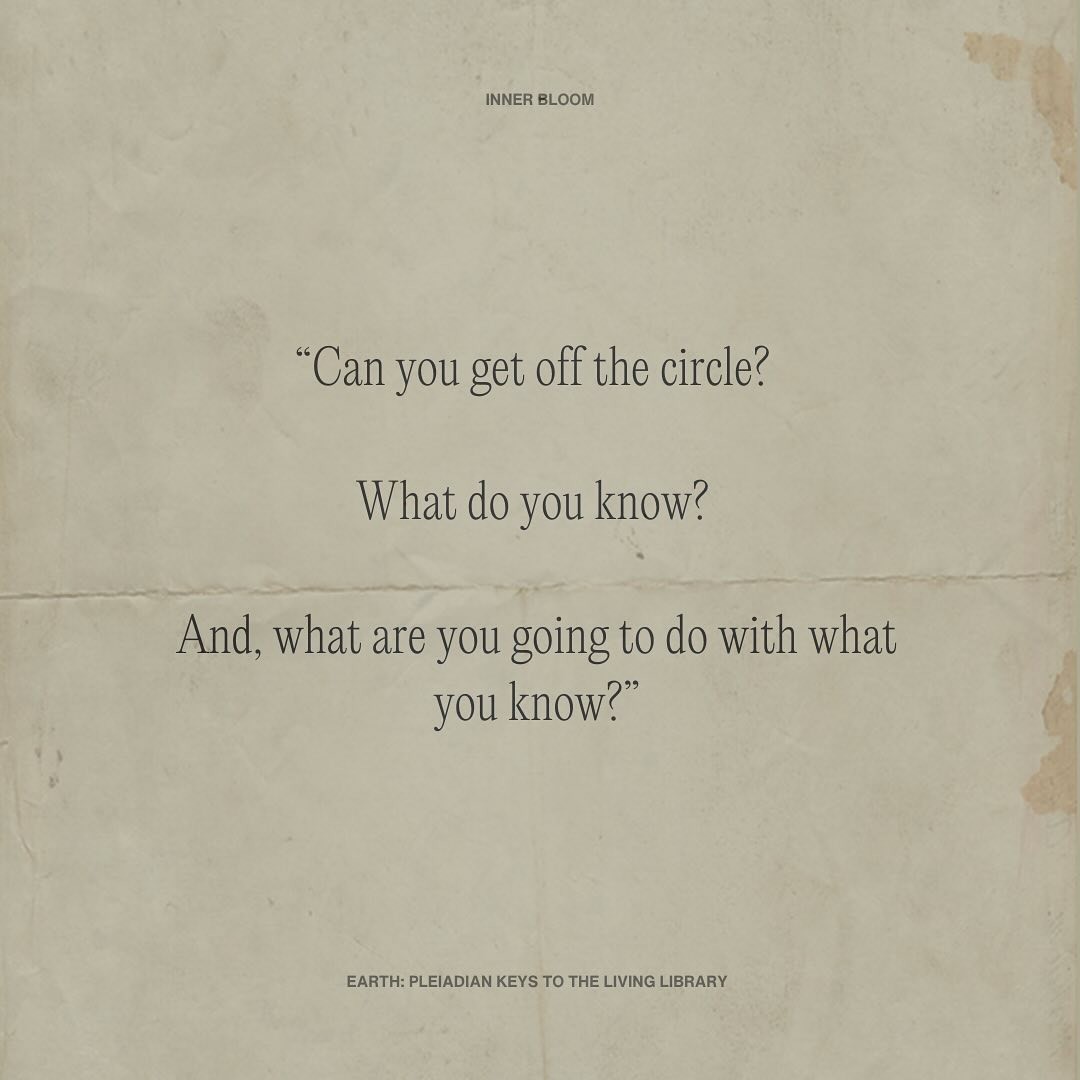 An Instagram carousel post added by innerbloom on Dec 19, 2023. The author is @inner_____bloom.