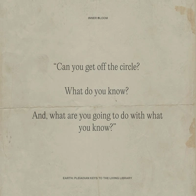 An Instagram carousel post added by innerbloom on Dec 19, 2023. The author is @inner_____bloom.