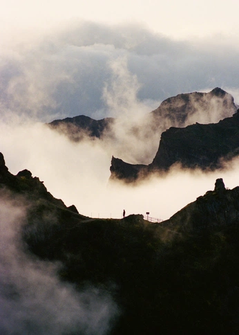 A cover of "trips" cluster. The owner is avolssam. The cluster consists of 10 elements.