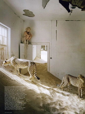 A cover of "editorial" cluster. The owner is alainily. The cluster consists of 26 elements.