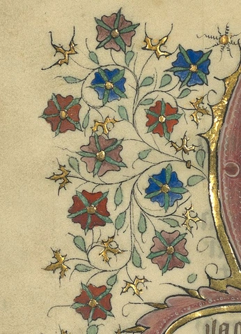 A cover of "Evolution" cluster. The owner is daphcat. The cluster consists of 5 elements.