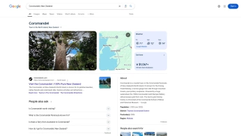 A cover of "New zealand trip" cluster. The owner is jazminn. The cluster consists of 8 elements.