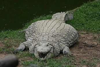 A cover of "Fun" cluster. The owner is nicanicshe. The cluster consists of 2 elements.