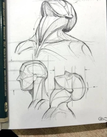 A cover of "anatomy babes anatomy" cluster. The owner is paprikatavares. The cluster consists of 12 elements.