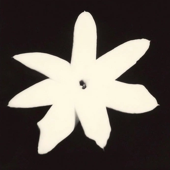 A cover of "Wepaper" cluster. The owner is joooooooan63. The cluster consists of 3 elements.