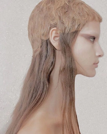 A cover of "drawing inspo" cluster. The owner is steinerbea. The cluster consists of 5 elements.