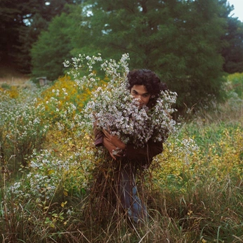 A cover of "Foraging" cluster. The owner is ricogoya. The cluster description is "Nature Provides". The cluster consists of 36 elements.