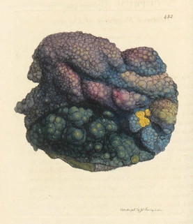 Blistered Sulphuret of Copper (Cuprum sulphureum)