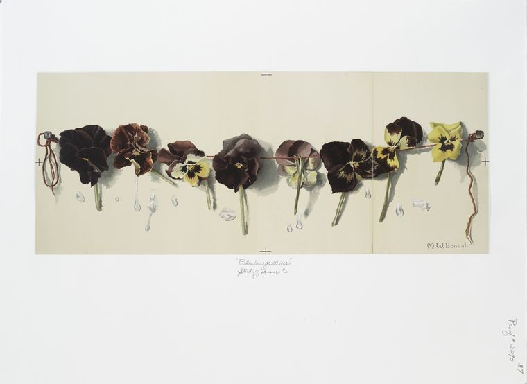 Bluebeard's Wives : Study of Pansies.
