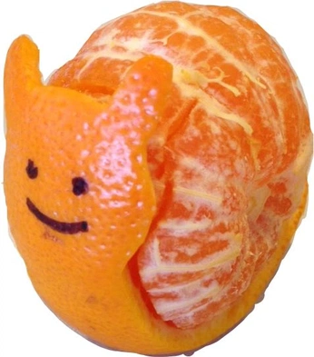 A cover of "The little guy factor" cluster. The owner is ce. The cluster consists of 5 elements.