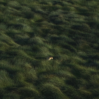 A cover of "nature" cluster. The owner is miya.jay. The cluster consists of 25 elements.