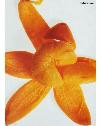 A cover of "grafic" cluster. The owner is rochimiau. The cluster consists of 1 element.