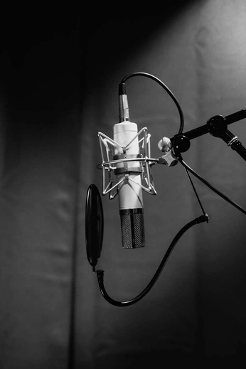 A cover of "Tapas" cluster. The owner is 0800barber. The cluster consists of 5 elements.