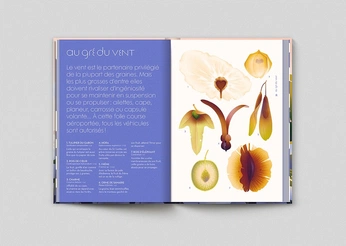 A cover of "field guide" cluster. The owner is laterdove. The cluster consists of 9 elements.