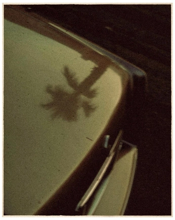 A cover of "Good Shepherd - 1YR" cluster. The owner is jorgediaz. The cluster consists of 4 elements.