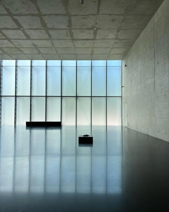 A cover of "Some random inspo" cluster. The owner is clarapcaldeira. The cluster consists of 4 elements.