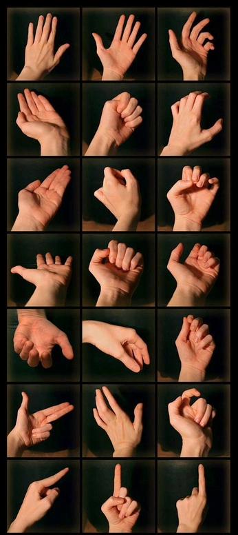 A cover of "hand references" cluster. The owner is newtaburg. The cluster consists of 1 element.