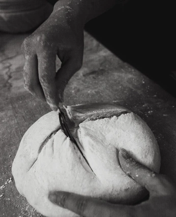 A cover of "taste&see" cluster. The owner is emclayton. The cluster consists of 26 elements.