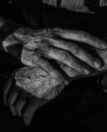 A cover of "TAMA" cluster. The owner is edition. The cluster consists of 4 elements.