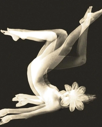 A cover of "Nature and music" cluster. The owner is giadadecrescenzo. The cluster consists of 11 elements.