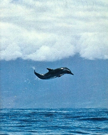 A cover of "Inspiration" cluster. The owner is qustjn. The cluster consists of 2 elements.